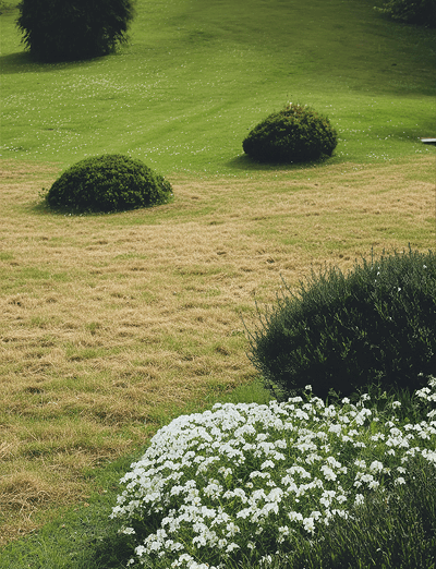 carousel-image-1849060-before