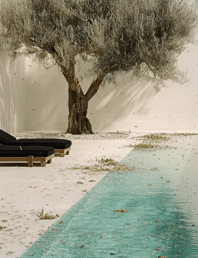 carousel-image-1849076-before