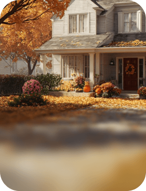 Driveway Leaf Removal