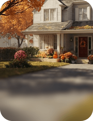 Driveway Leaf Removal after